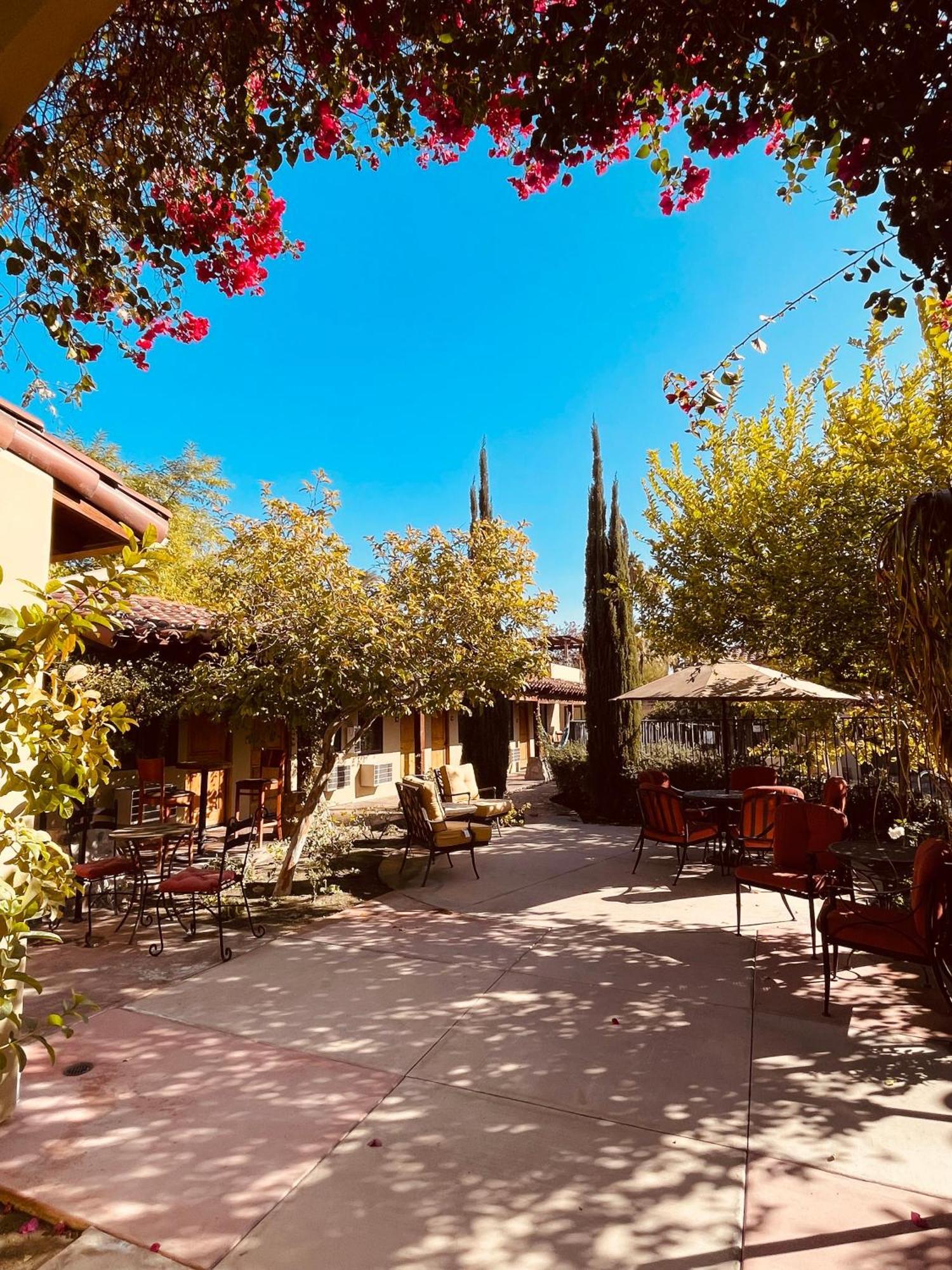 Los Arboles Hotel Palm Springs Bagian luar foto