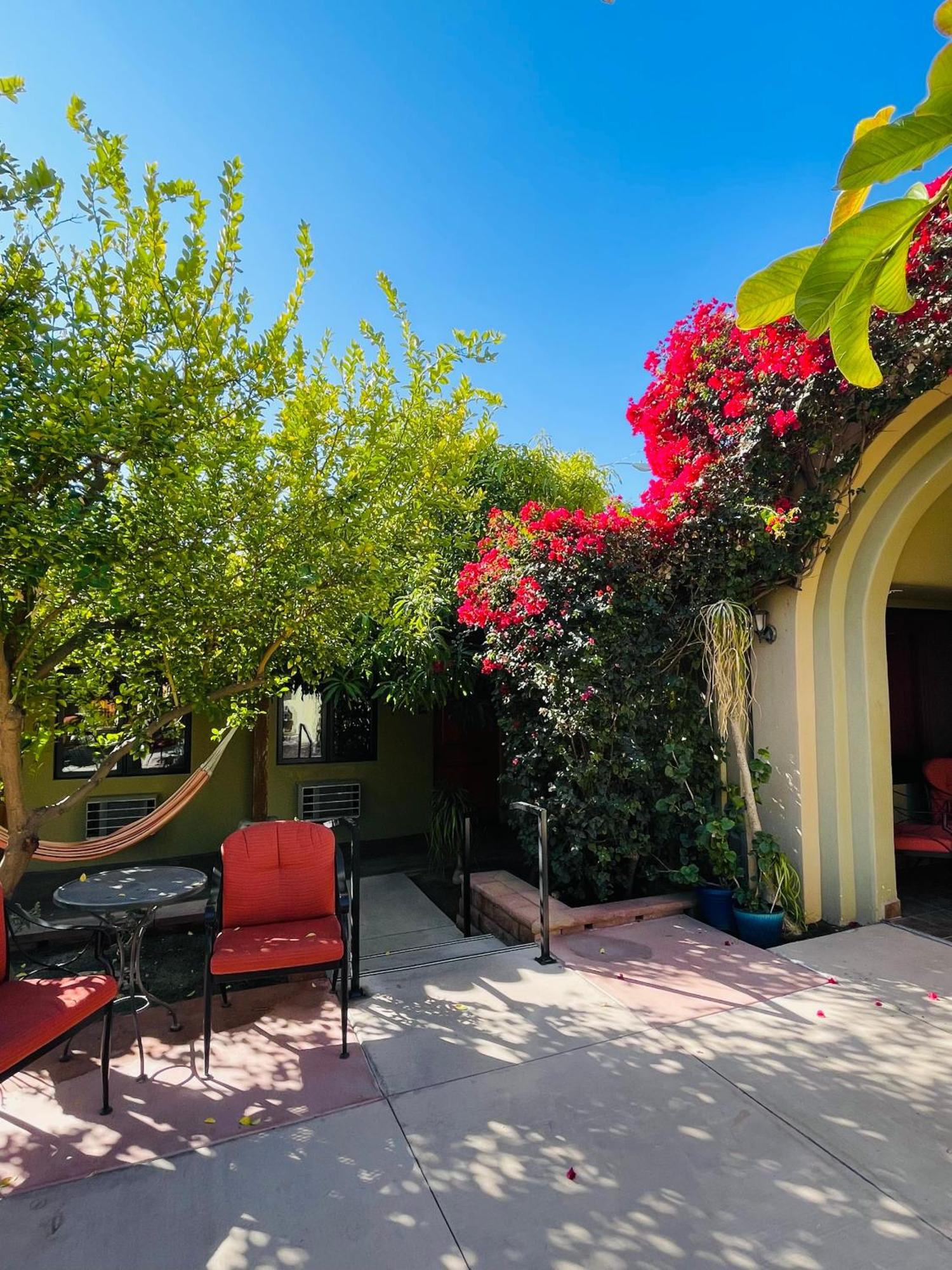 Los Arboles Hotel Palm Springs Bagian luar foto